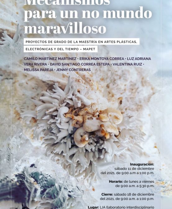 Mecanismos par aun no mundo maravilloso | Proyectos de grado de la maestría en artes plásticas, electrónicas y del tiempo – Mapet