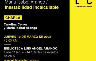 Charla: Inestabilidad incalculable