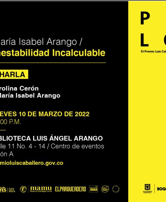 Charla: Inestabilidad incalculable