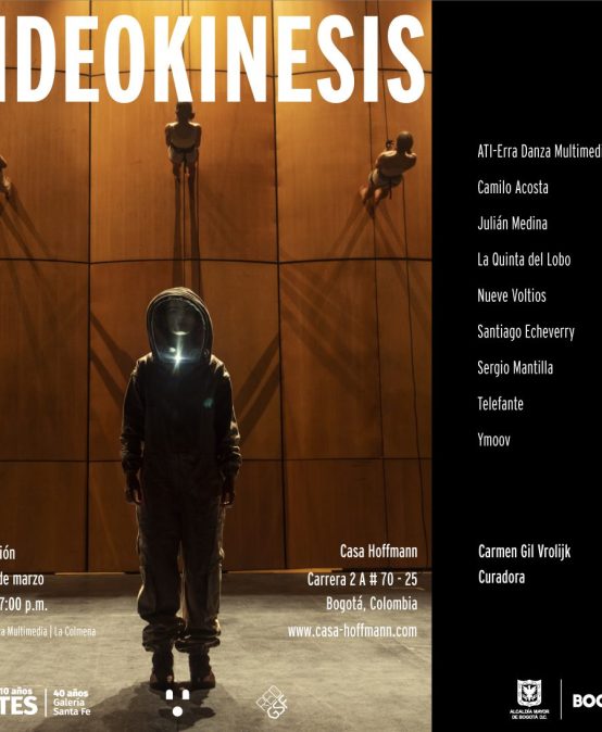 Exposición: Videokinesis | Curaduría por Carmen Gil Vrolijk