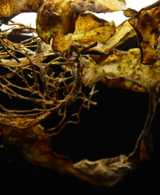 Cuerpos persistentes: realidades alternas – Proyectos de grado de la Maestría en Artes Plásticas, Electrónicas y del Tiempo – Mapet 2022-1