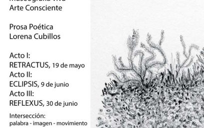 Los varones del sol de María Fernanda Patiño, una curaduría de Natalia Gutiérrez en la galería Sextante