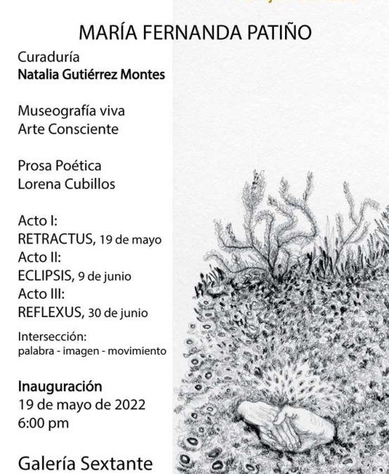 Los varones del sol de María Fernanda Patiño, una curaduría de Natalia Gutiérrez en la galería Sextante