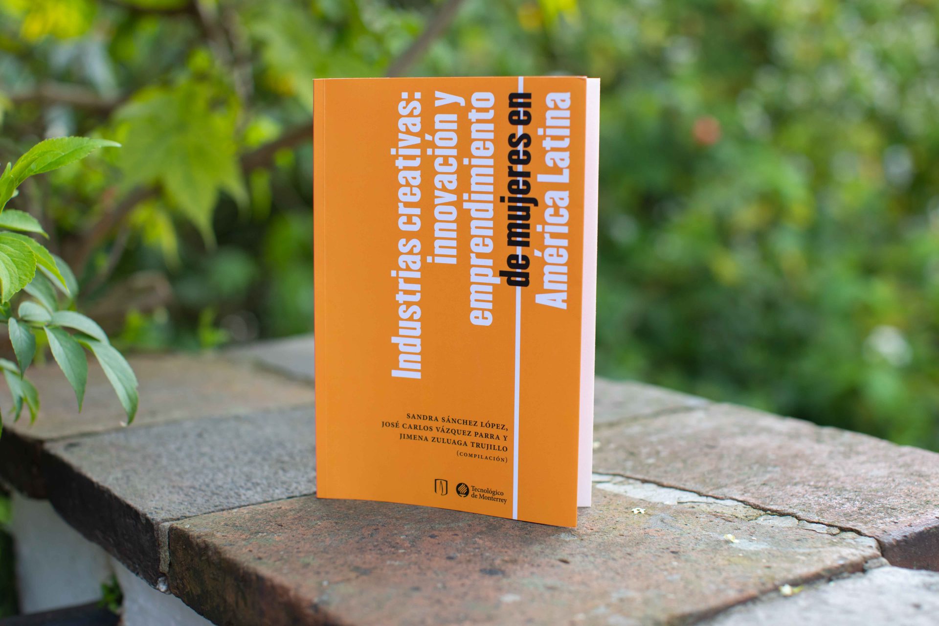 Autores compiladores: Sandra Sánchez López, José Carlos Vásquez Parra y Jimena Zuluaga Trujillo
