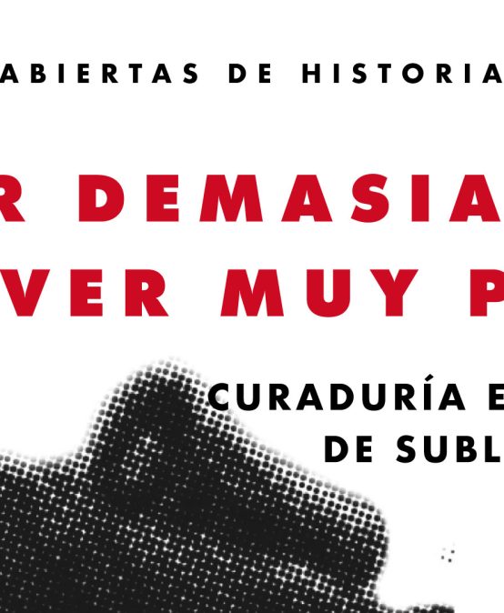 Charla abierta. Ver demasiado, ver muy poco: curaduría en tiempos de sublevaciones