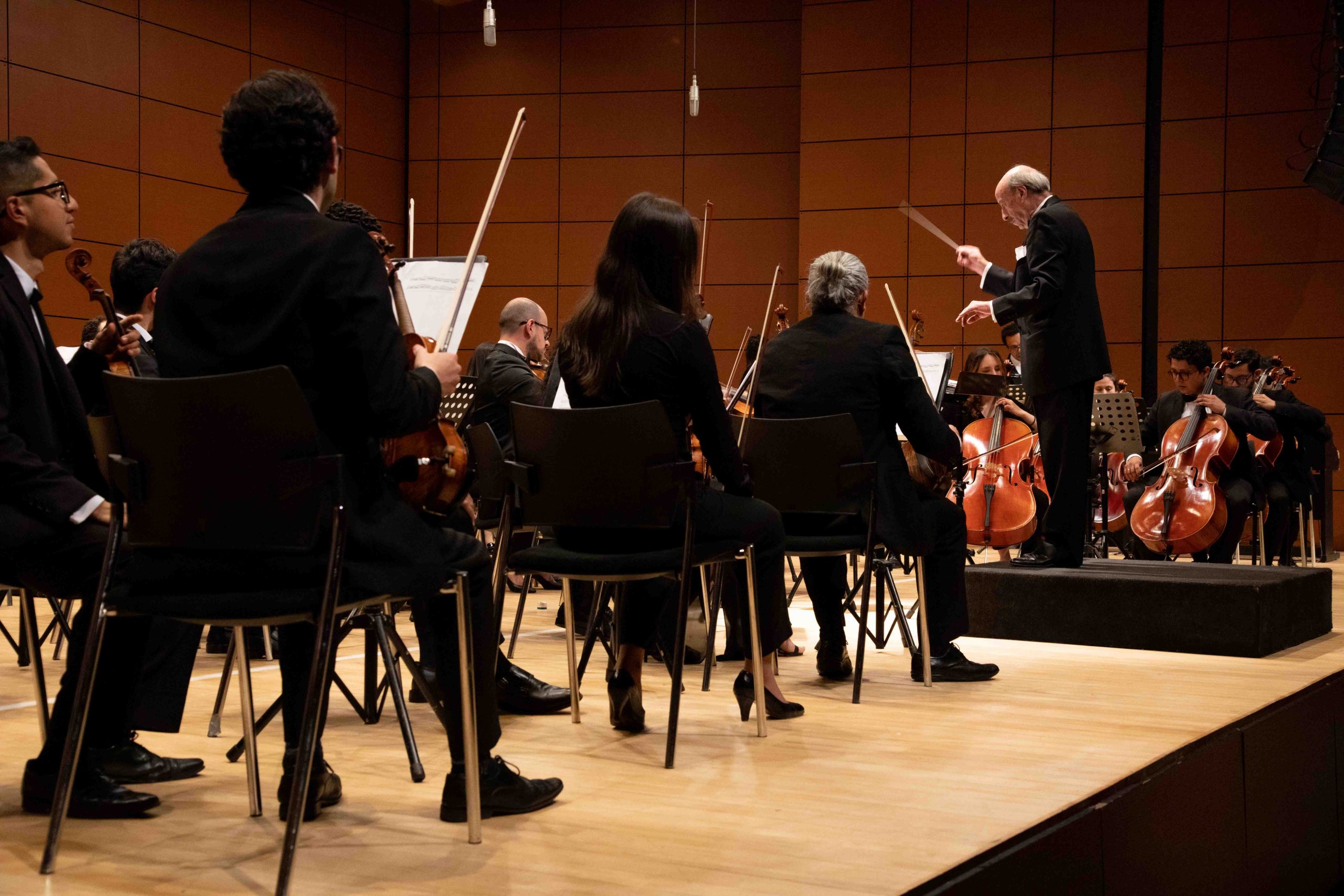 Homenaje al maestro Manuel Cubides Greiffenstein