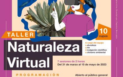 Taller: Naturaleza virtual