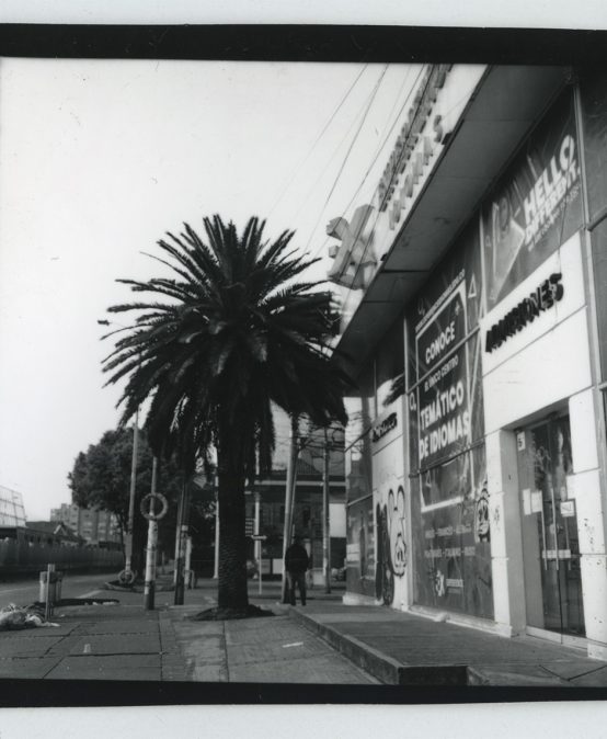 La inquietud del ver – Beatriz Grau en la galería Elvira Moreno