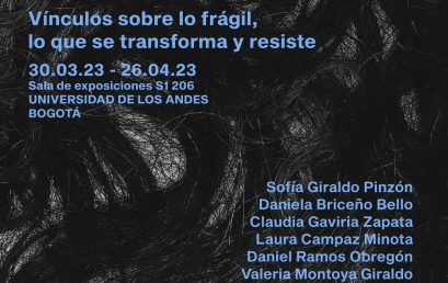 Capilares: vínculos sobre lo frágil, lo que se transforma y resiste