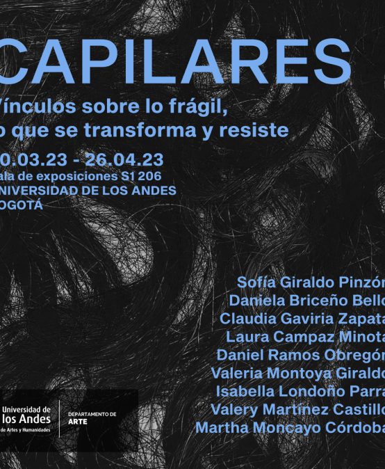 Capilares: vínculos sobre lo frágil, lo que se transforma y resiste