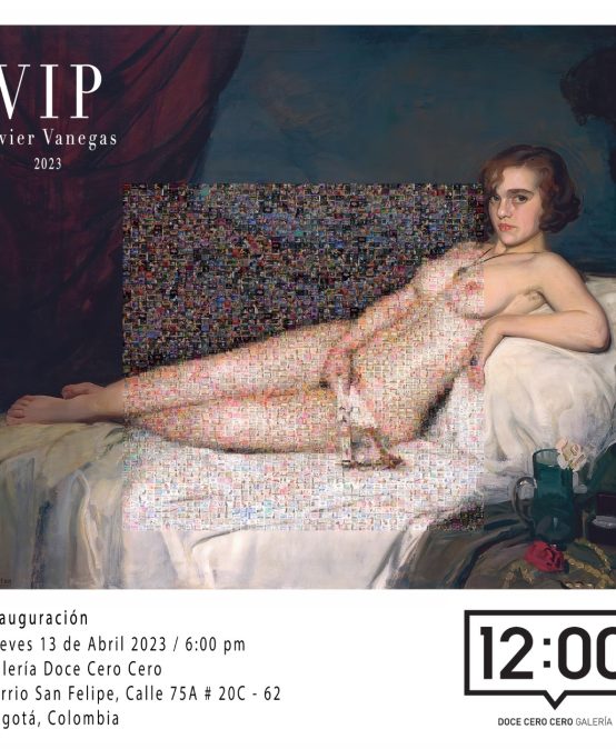 VIP – exposición de Javier Vanegas en la galería Doce Cero Cero