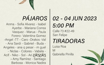 40 pájaros de un tiro