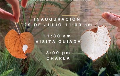 La cuna de la vida, exposición de Christian Snyder Moreno Martín
