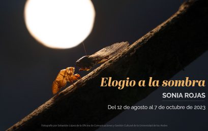 Elogio a la sombra, Sonia Rojas en Galería Espacio el Dorado