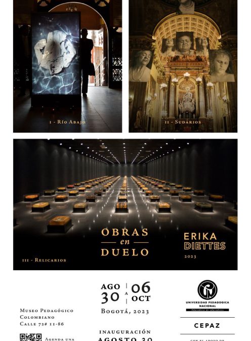 Visita guiada y charla con Erika Diettes en su exposición Obras en duelo