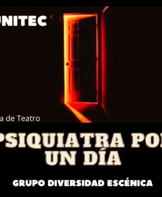 Obra de teatro | Psiquiatra por un día