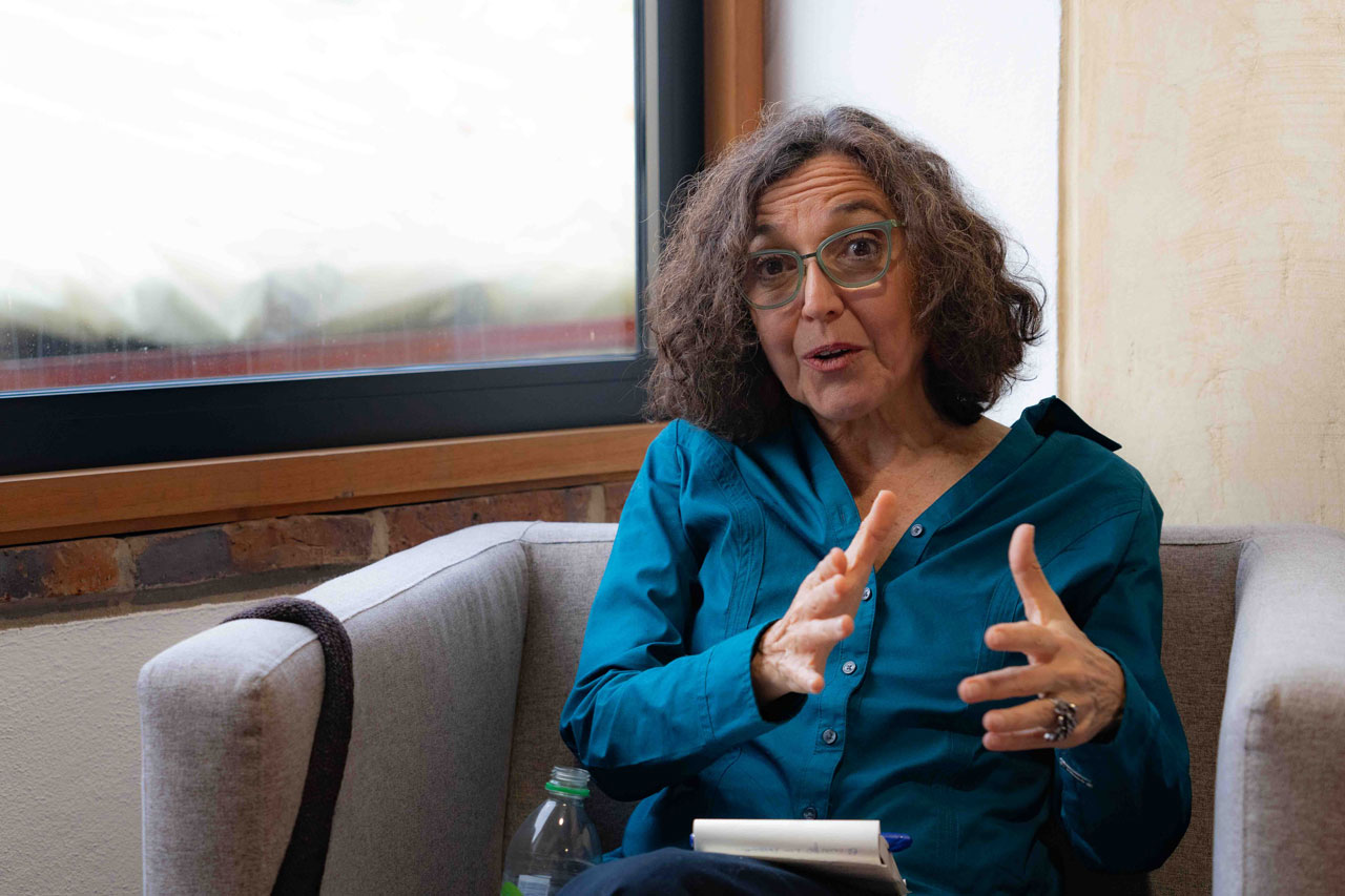 Faur es profesora de la Universidad Nacional de San Martin de Argentina