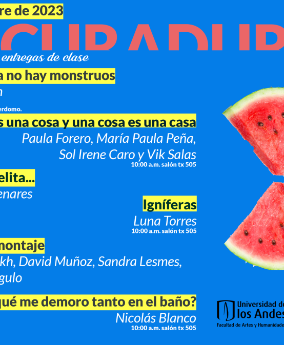 Entrega final del curso de curaduría 2023-2