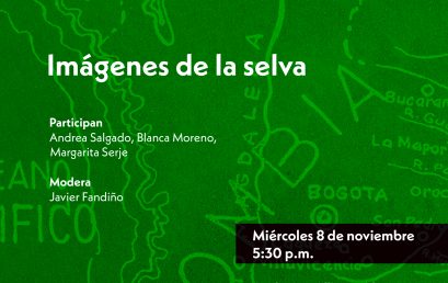 Imágenes de la selva