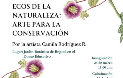 Ecos de la naturaleza: artes para la conservación, exposición de Camila Rodríguez en el Jardín Botánico