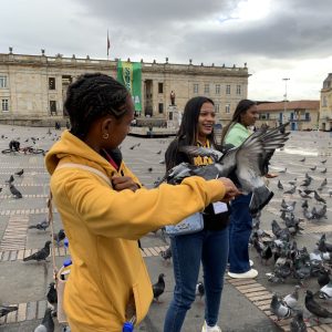 IMG_9127
