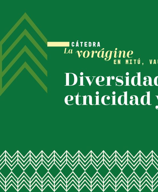 Cátedra Vorágine | Diversidad: etnicidad y género
