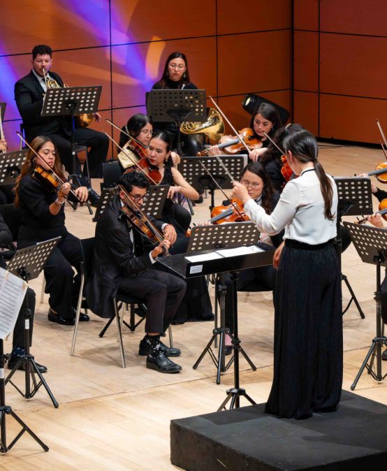 Orquesta de Los Andes presenta: Obras de Mozart y Dvořák