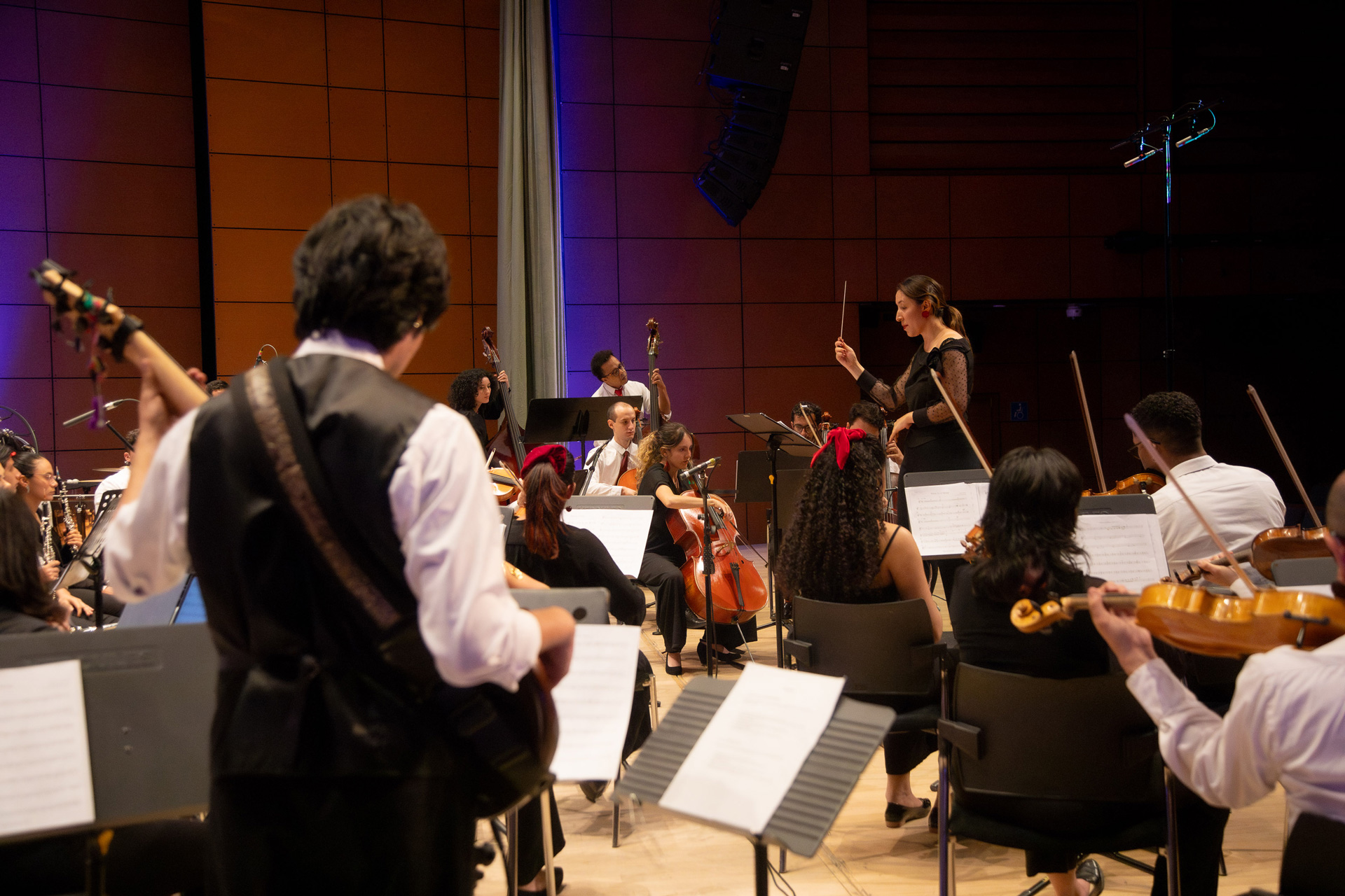 La Orquesta de los Andes invita a todos los instrumentistas interesados a integrar su banco de artistas para la temporada 2026